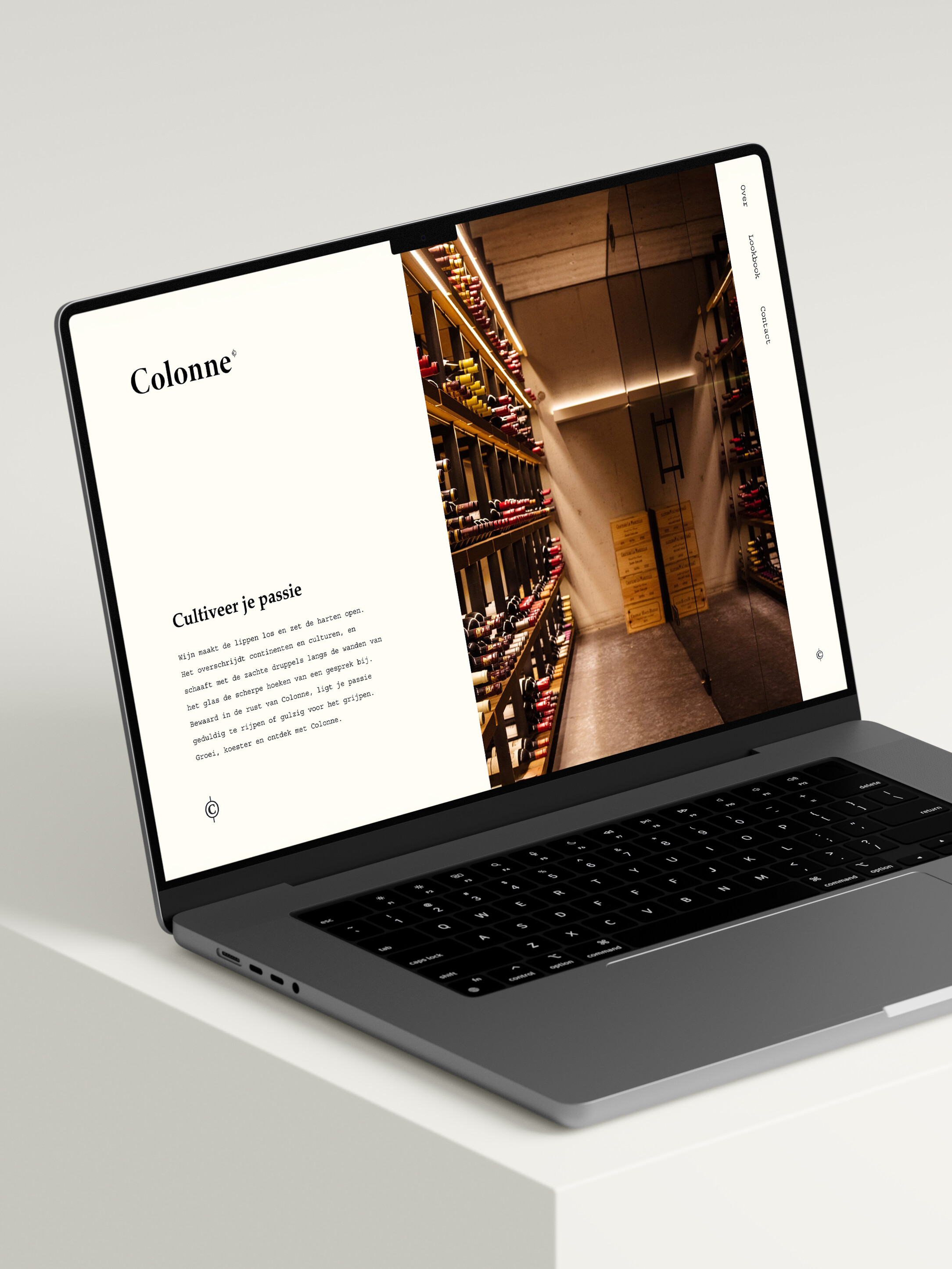 Skinn Colonne Website 1